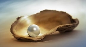 QUE HERMOSAS SON LAS PERLAS!