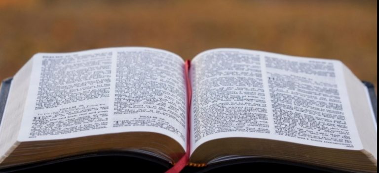 No tengas reparo en acoger lo que viene de Dios