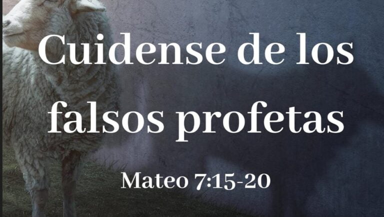 Lectura del santo evangelio según san Mateo (7,15-20)