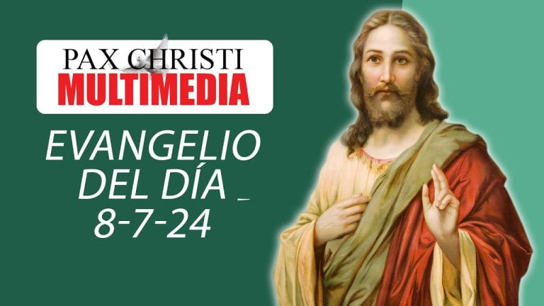 Evangelio del Día |7 de Agosto del 2024 | Mateo 15, 21-28