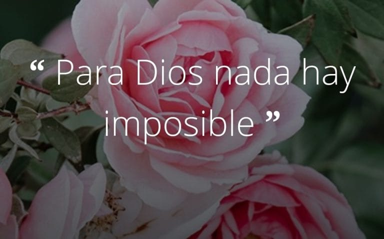 Evangelio de Hoy Lunes 7 de Octubre de 2024, #EvangelioDeHoy