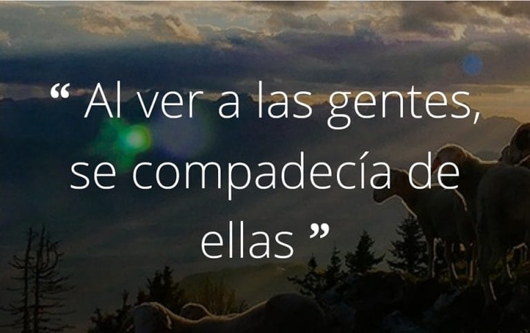 Evangelio de Hoy Jueves 12 de Diciembre de 2024, #EvangelioDeHoy