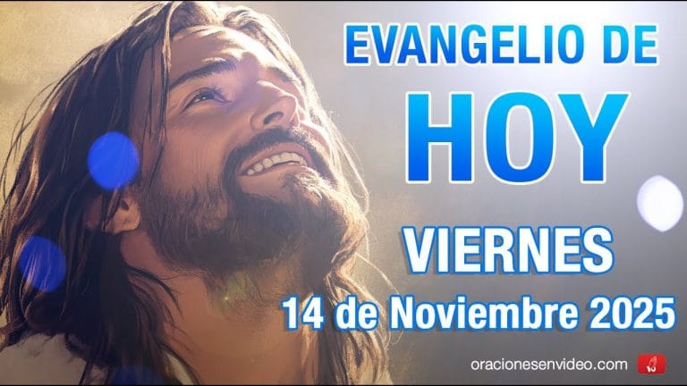 Evangelio de HOY. Viernes 14 de nov. 2025 Lc 17,26-37